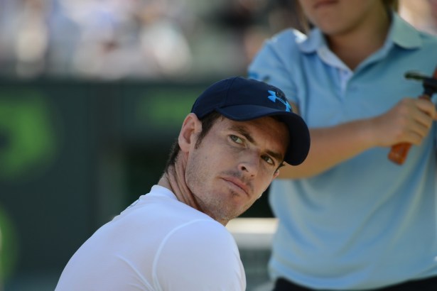 16993236072_077e2de3d1_b